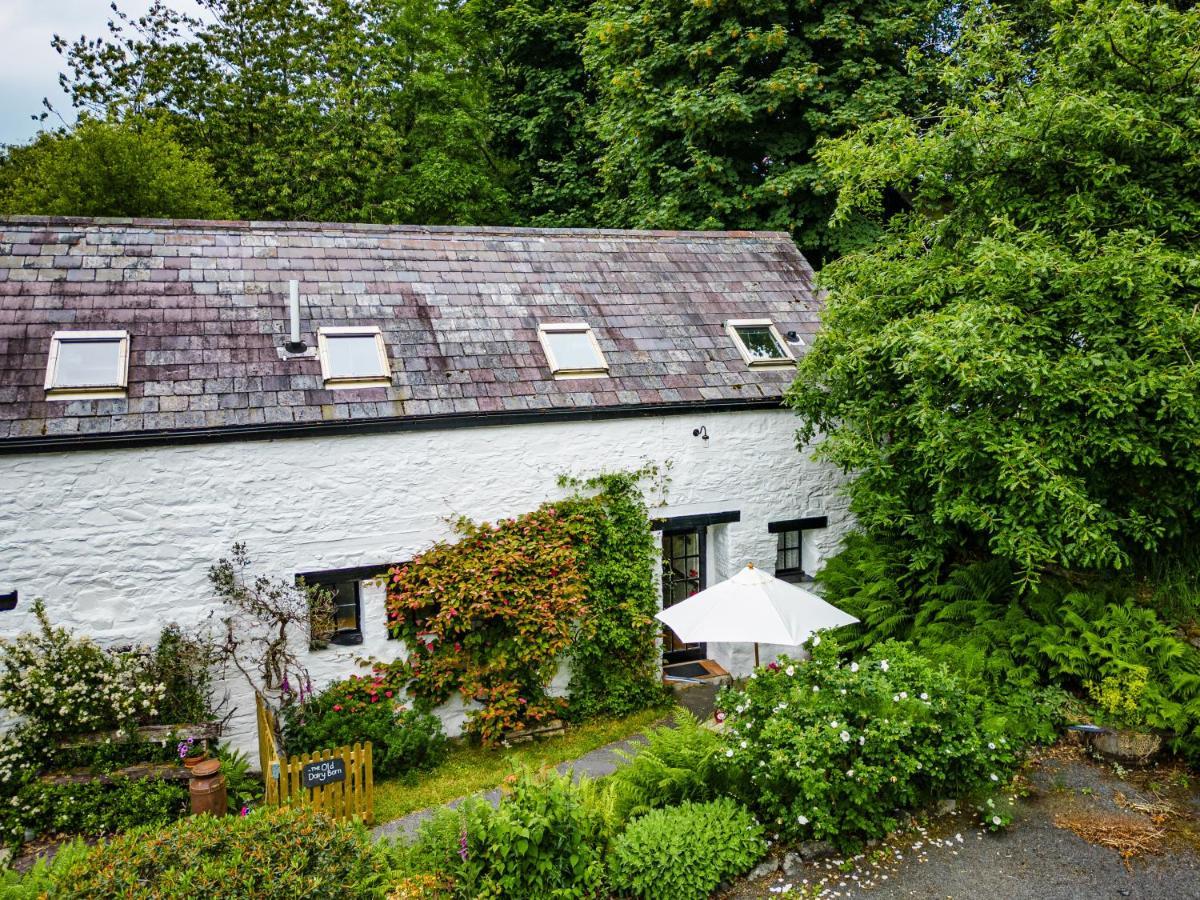 Brynarth Country * Aberystwyth