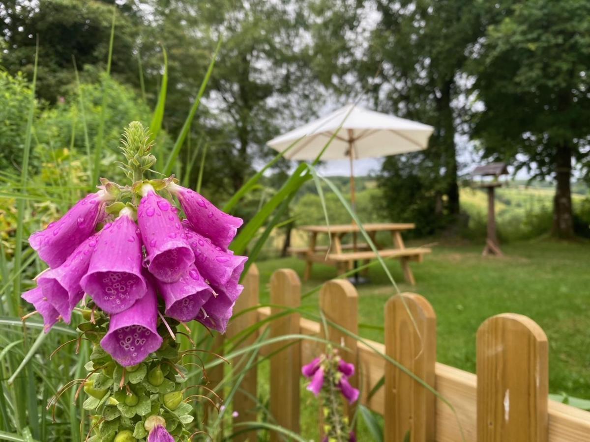 Holiday home Brynarth Country