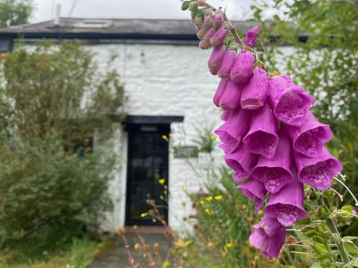 Brynarth Country Holiday home
