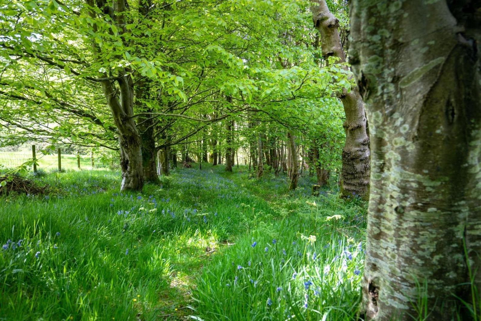Brynarth Country Holiday home