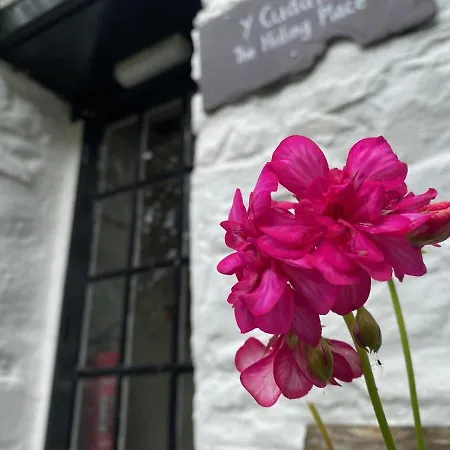Brynarth Country Cottages Aberystwyth Exterior photo