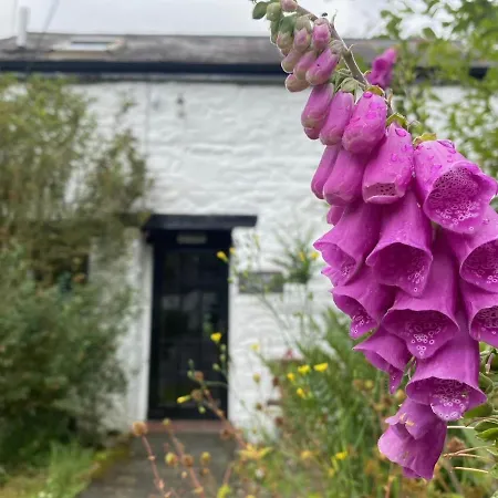Brynarth Country Cottages Aberystwyth Exterior photo
