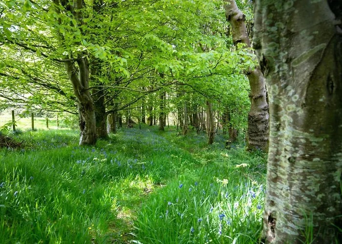 Brynarth Country Cottages