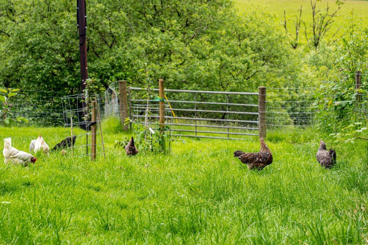Casa vacanze Brynarth Country *