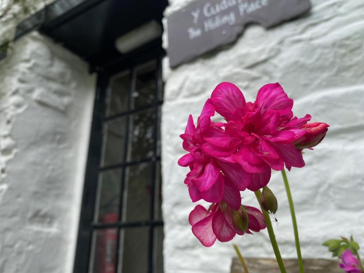 Brynarth Country Casa vacanze Aberystwyth