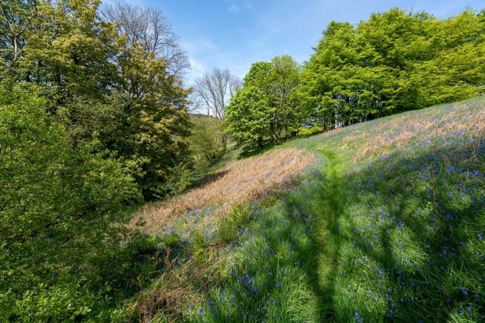 Brynarth Country Casa vacanze